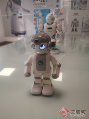 昆明智能機器人產(chǎn)業(yè)園年內(nèi)破土動工，云計算裝備技術服務引領產(chǎn)業(yè)升級